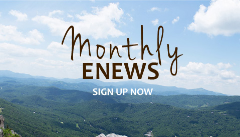 Monthly Enews